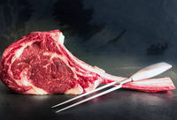 Thumbnail for tomahawk