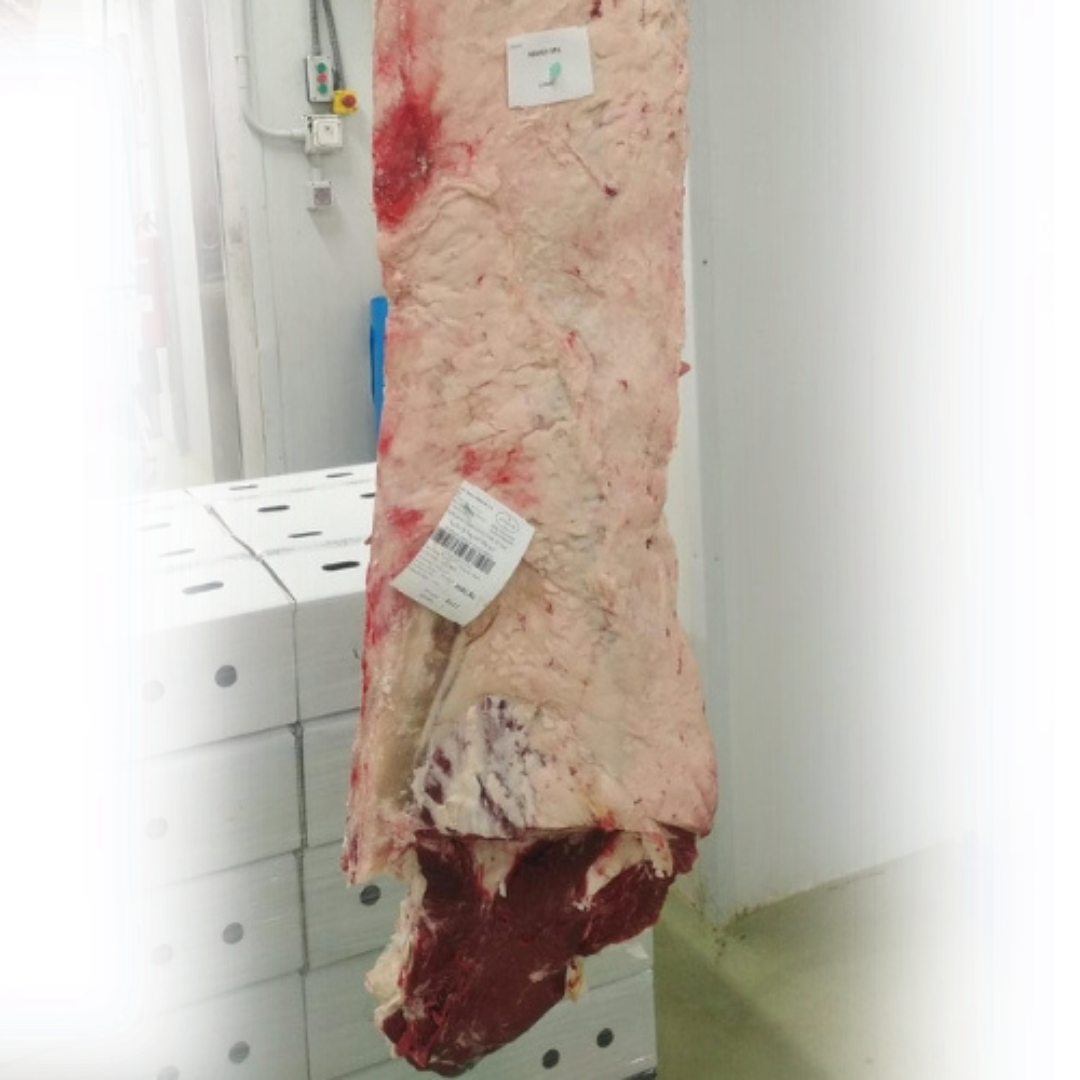 FRISSONA Bife de Vaca S/Lombo com maturação 20kg aprox