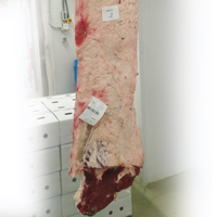 Thumbnail para Bife Vaca FRISONA S/Lombo com maturação 20kg aprox